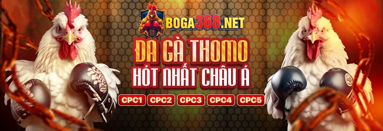 Tải ứng dụng LC79 ngay hôm nay